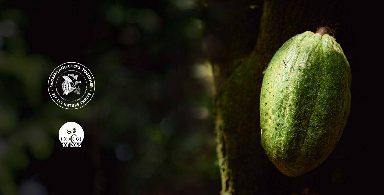 Nosso comprometimento com a sustentabilidade: