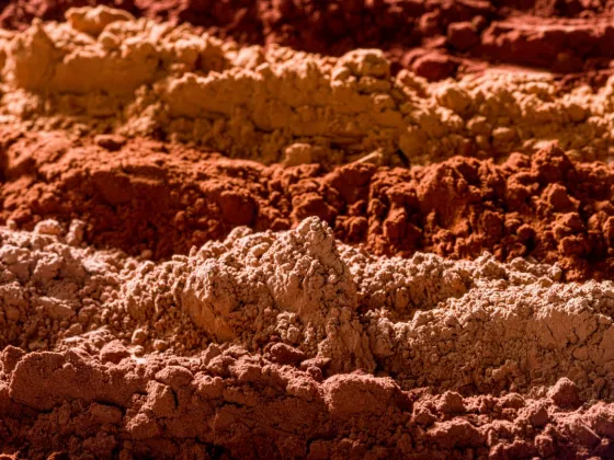 Какао-порошки Cacao Barry